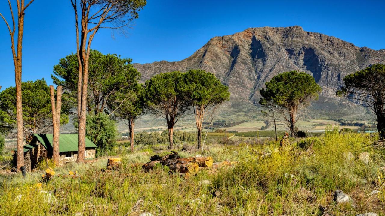 Welbedacht Game & Nature Reserve Тульбах Экстерьер фото