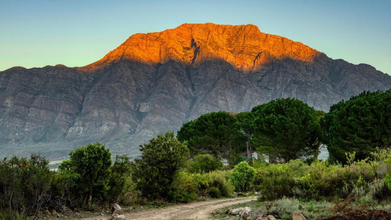 Welbedacht Game & Nature Reserve Тульбах Экстерьер фото