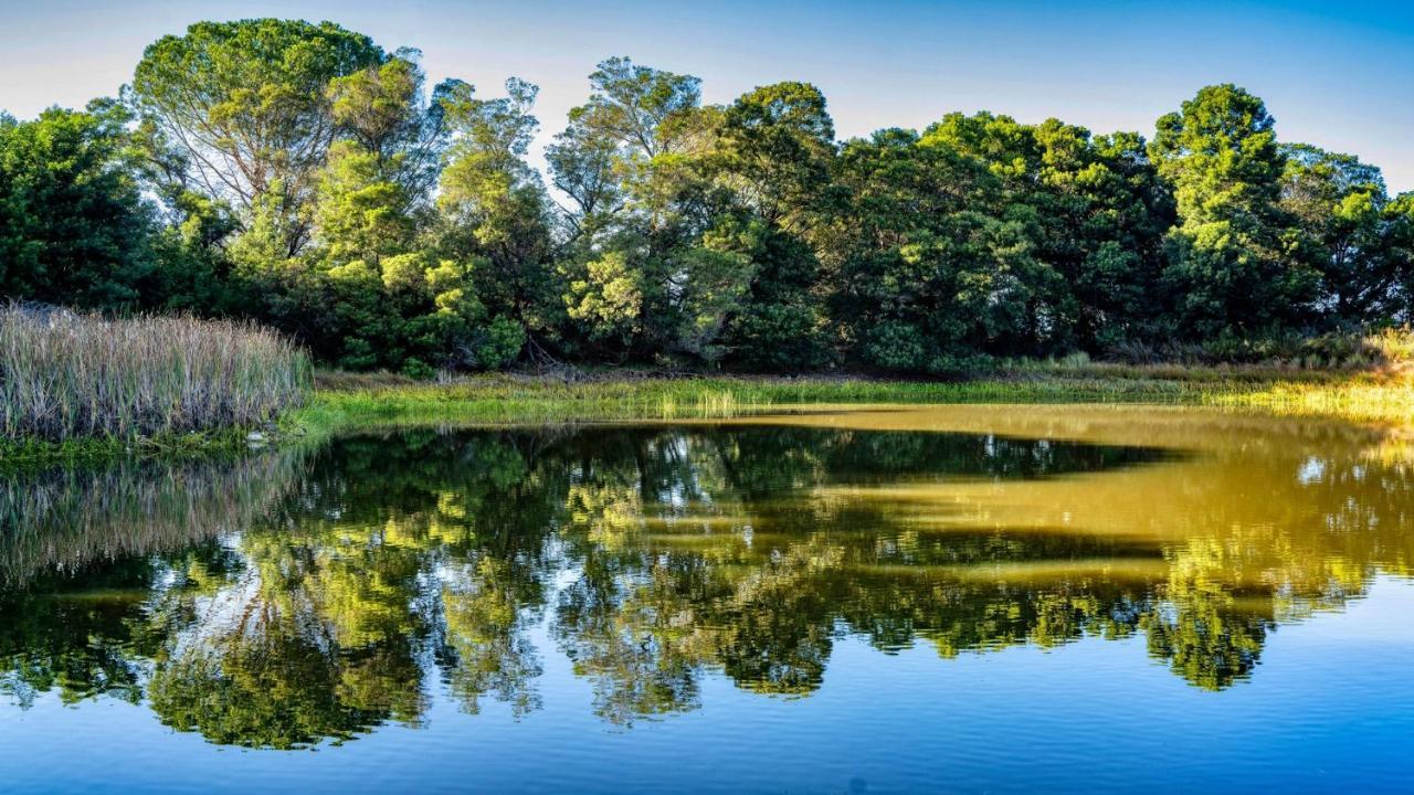 Welbedacht Game & Nature Reserve Тульбах Экстерьер фото