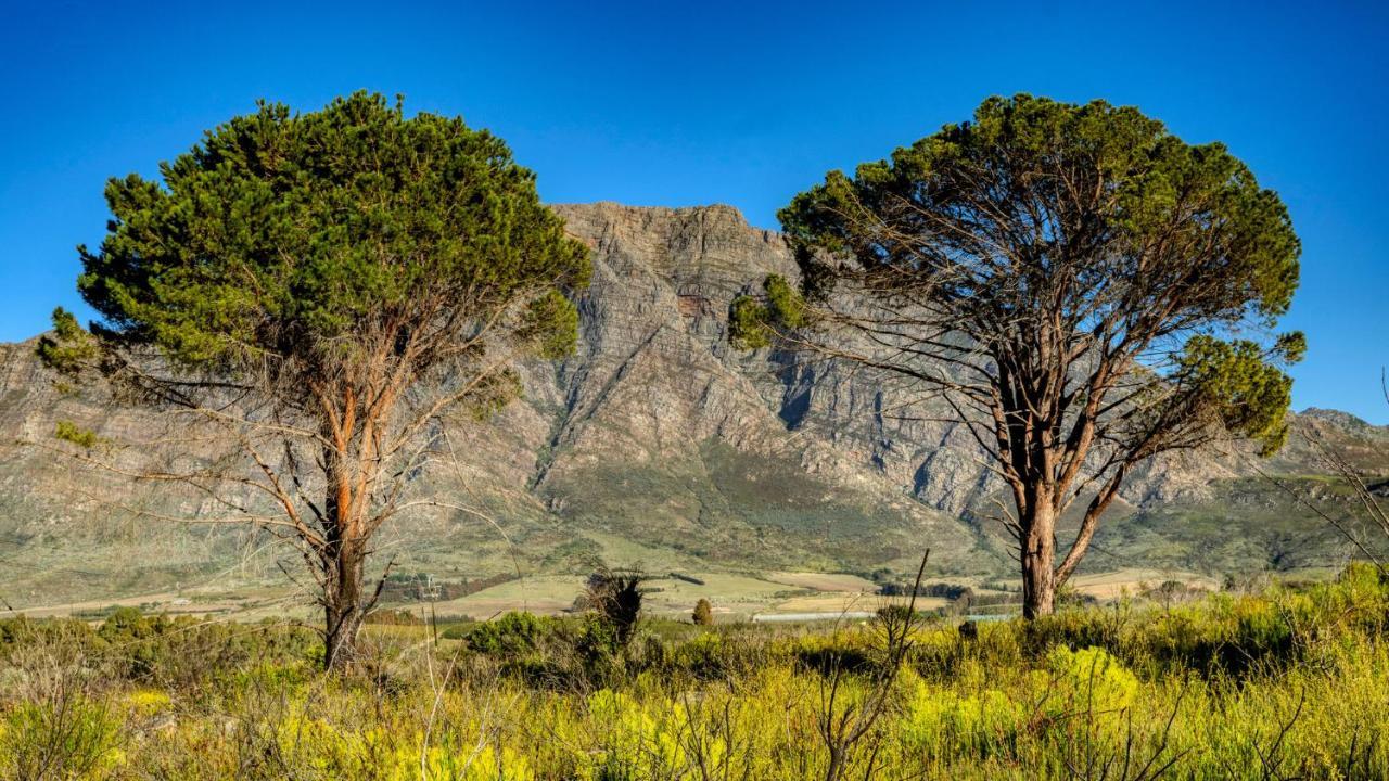 Welbedacht Game & Nature Reserve Тульбах Экстерьер фото